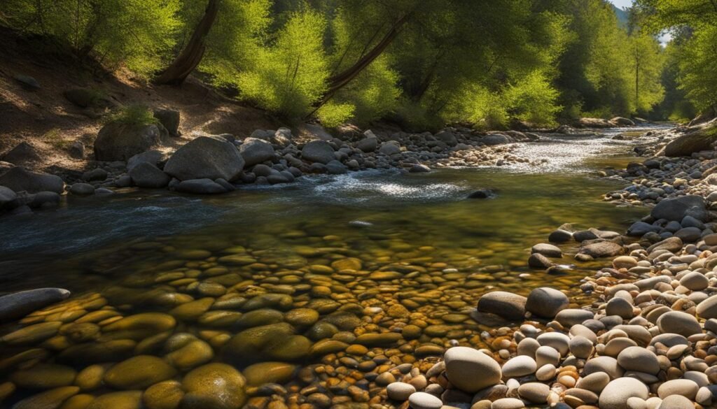 Trout spawning habits