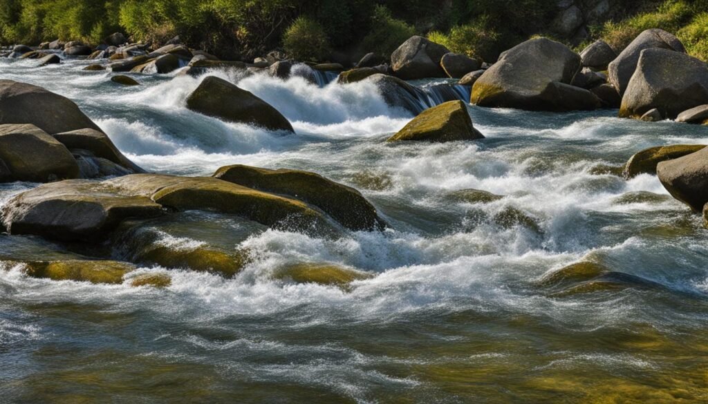 migratory trout behavior